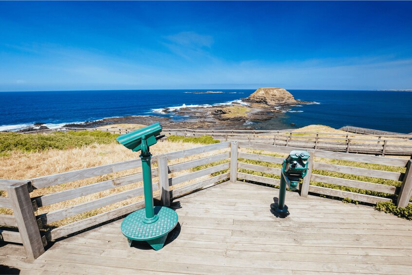 Picture 4 for Activity From Melbourne: Phillip Island and Penguin Parade Day Tour