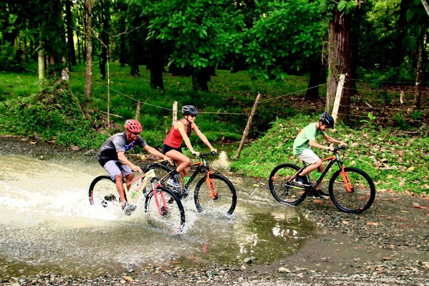 Picture 9 for Activity Uvita Beach: Jungle/Waterfalls Mountain Bike Tour in Uvita