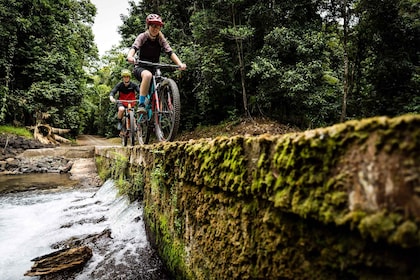 Uvita Beach: Jungle/Waterfalls Mountain Bike Tour in Uvita