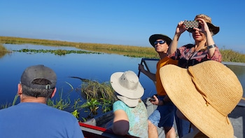 Everglades National Park Nature Walk with a Naturalist & Air Boat Ride