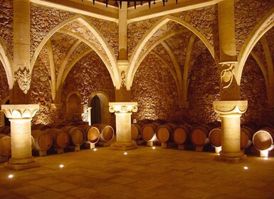 Riviera francesa: tour de vinos provenzales