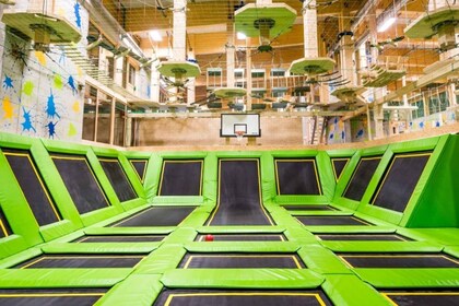 Feldberg: Trampoline Park Ticket