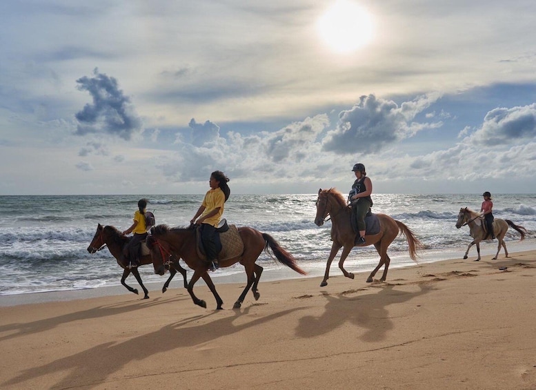 Picture 2 for Activity Phuket: Kamala Beach Horse Riding Activity