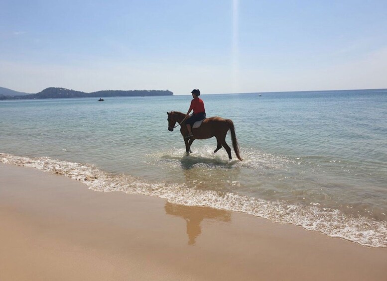 Picture 4 for Activity Phuket: Kamala Beach Horse Riding Activity