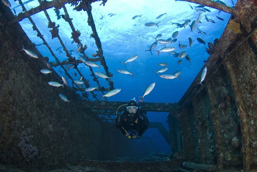 Picture 3 for Activity Scuba Diving in Hikkaduwa