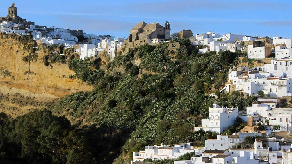 Picture 4 for Activity The White Towns of Andalusia: Private Day Trip from Cádiz