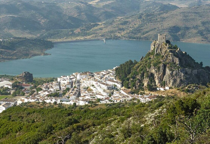 Picture 5 for Activity The White Towns of Andalusia: Private Day Trip from Cádiz