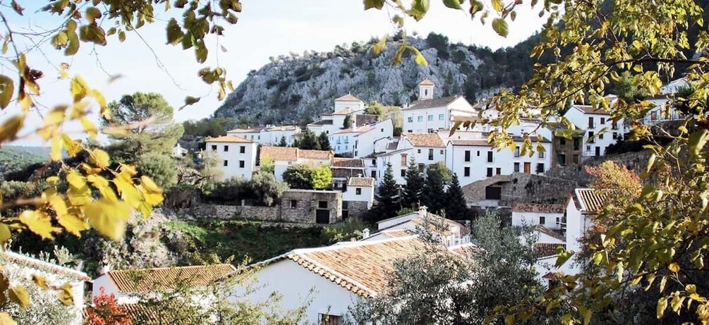 Picture 1 for Activity The White Towns of Andalusia: Private Day Trip from Cádiz