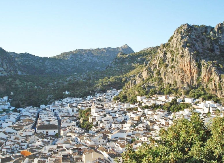 Picture 2 for Activity The White Towns of Andalusia: Private Day Trip from Cádiz