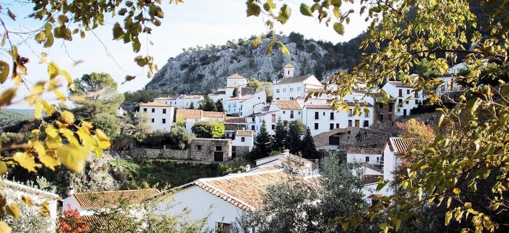 Picture 1 for Activity The White Towns of Andalusia: Private Day Trip from Cádiz