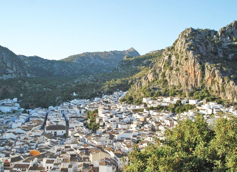 Picture 2 for Activity The White Towns of Andalusia: Private Day Trip from Cádiz