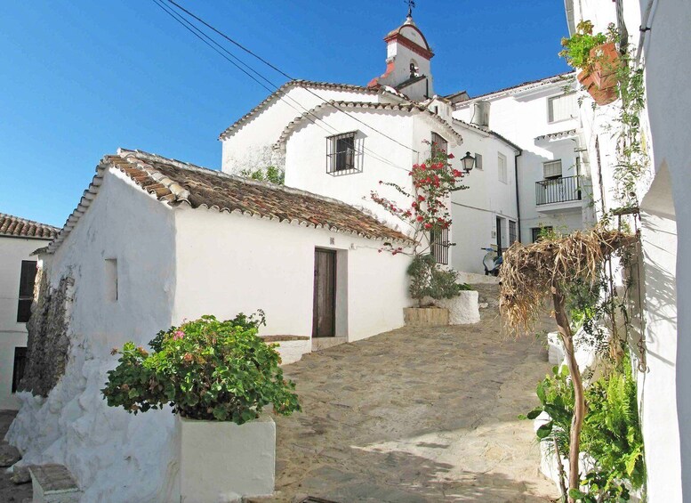 Picture 6 for Activity The White Towns of Andalusia: Private Day Trip from Cádiz