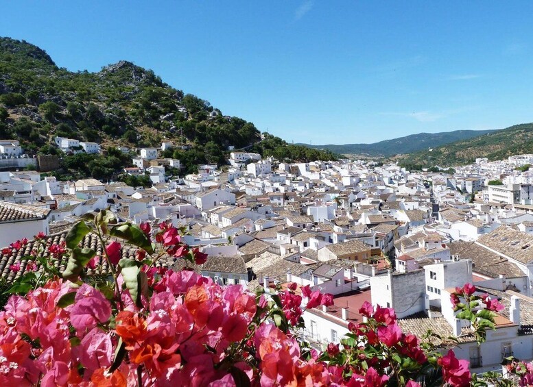 Picture 3 for Activity The White Towns of Andalusia: Private Day Trip from Cádiz