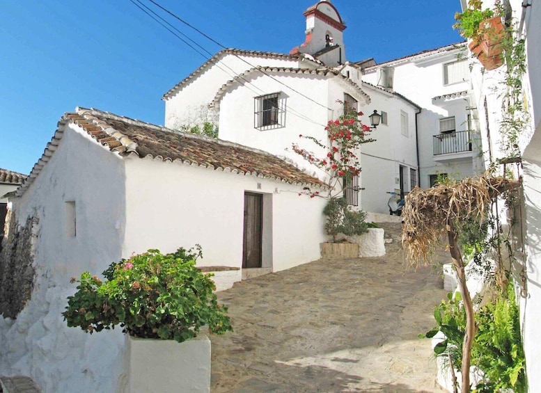 Picture 6 for Activity The White Towns of Andalusia: Private Day Trip from Cádiz