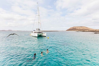 Corralejo: Tour in catamarano dell'isola di Lobos con bevande e snorkeling