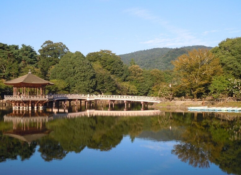 Picture 6 for Activity Nara: Todai-ji y parque de Nara (Spanish Guide)