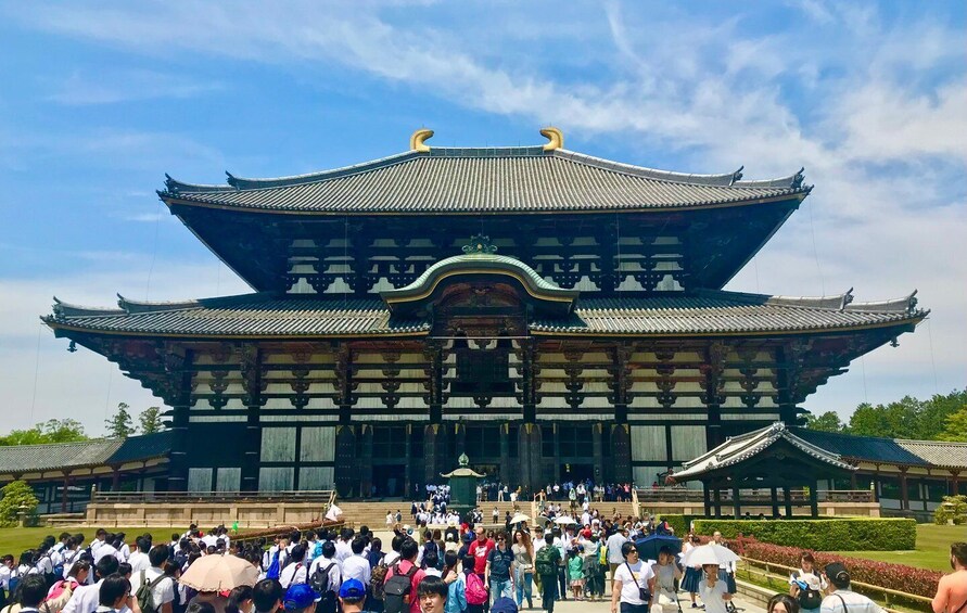 Picture 4 for Activity Nara: Todai-ji y parque de Nara (Spanish Guide)