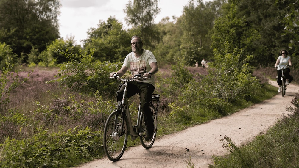 Picture 3 for Activity Otterlo: De Hoge Veluwe National Park Entry & E-bike