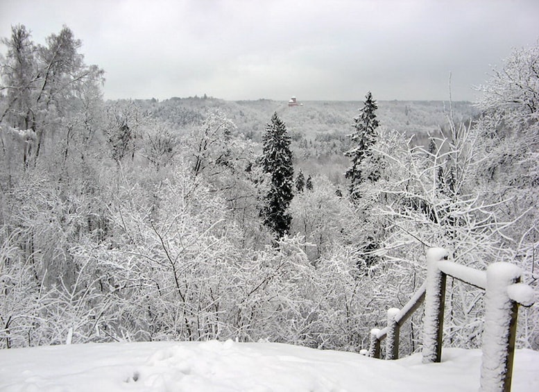 Picture 1 for Activity Turaida Reserve & Deer Safari on Latvia Winter Tour