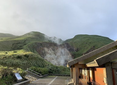 Desde Taipéi: recorrido privado por el volcán y la naturaleza de Yangmingsh...