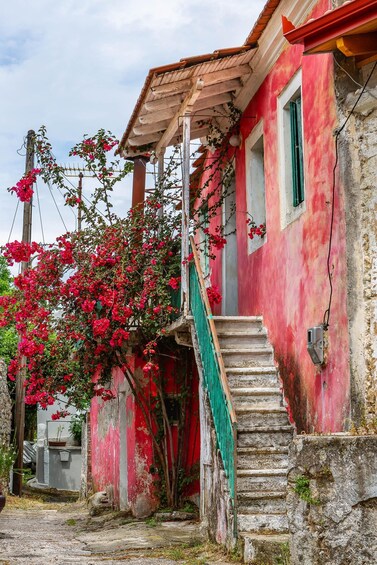 Picture 4 for Activity The Durrells in Corfu Town: Private tour