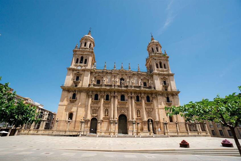 Picture 3 for Activity Jaén: 3 hour tour, Cathedral, Arab Baths + Olive oil tasting