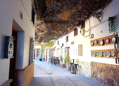 Desde Marbella: viaje privado a Ronda y Setenil de las Bodegas