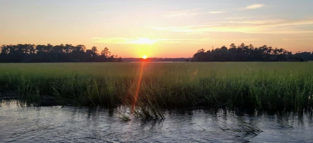 Picture 8 for Activity Private dolphin tours in the amazing Savannah Marsh