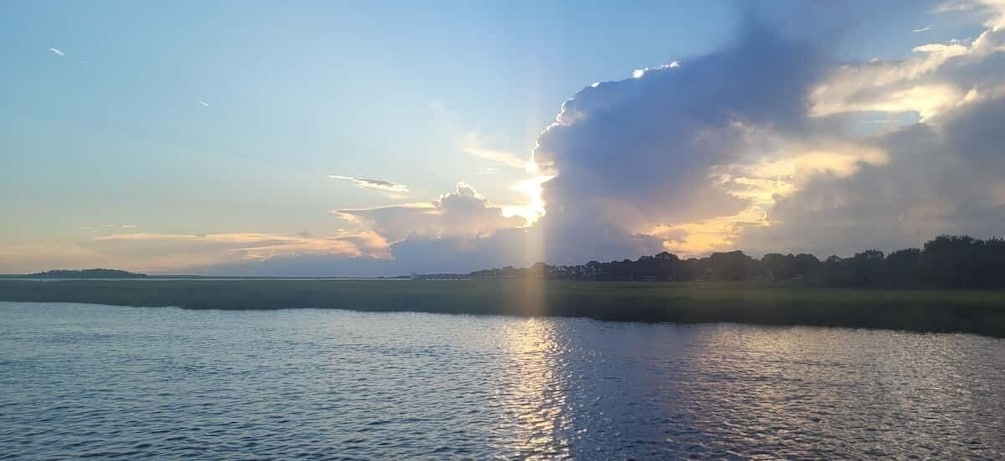 Picture 9 for Activity Private dolphin tours in the amazing Savannah Marsh