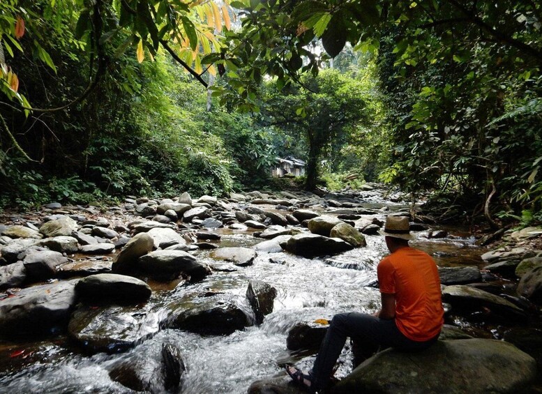 Picture 8 for Activity From Medan: 4 day tour to Bukit Lawang incl. jungle trek
