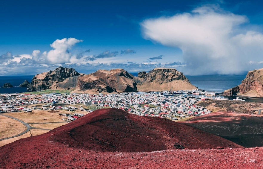 Picture 2 for Activity Westman Islands Day Tour from Reykjavik