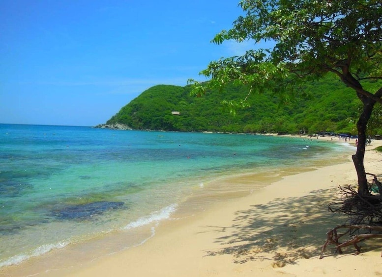 Picture 3 for Activity Santa Marta Beaches Private Boat Tour