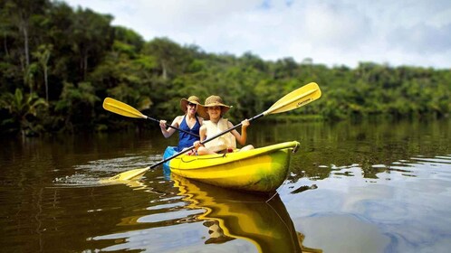 From Iquitos || 4-day tour of the northern Amazon ||