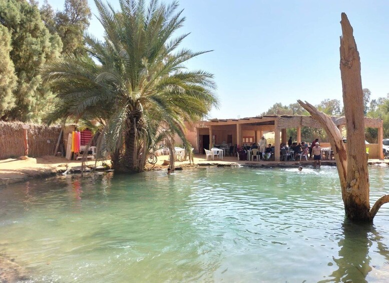 Picture 1 for Activity Ksar Ghilan (Oasis) One Day Tour : Starting from Djerba