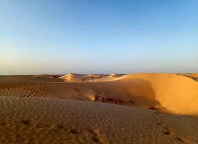 Ksar Ghilan (Oasis) One Day Tour : Starting from Djerba