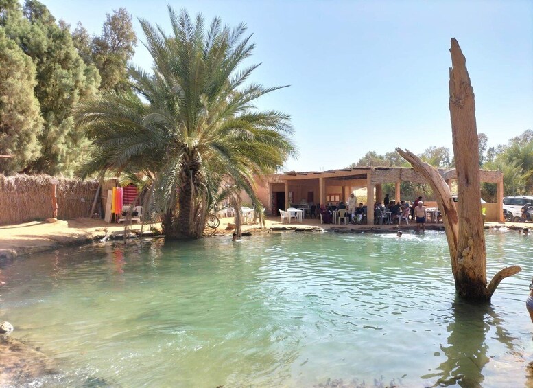 Picture 1 for Activity Ksar Ghilan (Oasis) One Day Tour : Starting from Djerba