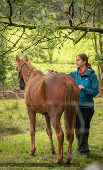 Picture 3 for Activity Packhorse picnic Lake District Full circle experiences