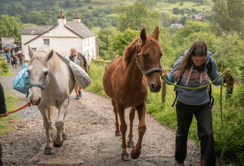 Picture 2 for Activity Packhorse picnic Lake District Full circle experiences