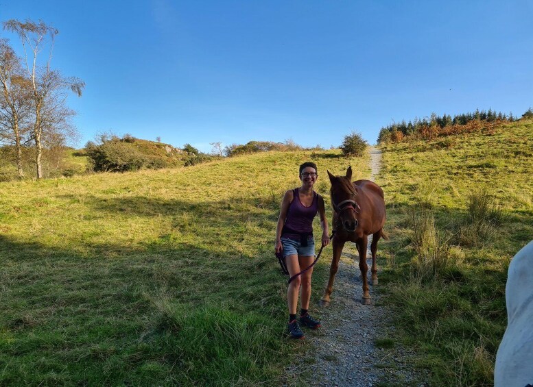 Packhorse picnic Lake District Full circle experiences