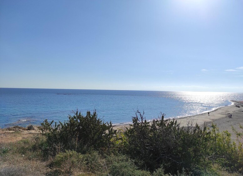 Picture 2 for Activity Chania Pink Sand Beaches Private Tour: Elafonisi & Falasarna