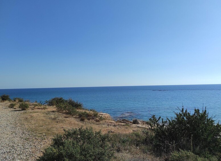 Picture 3 for Activity Chania Pink Sand Beaches Private Tour: Elafonisi & Falasarna