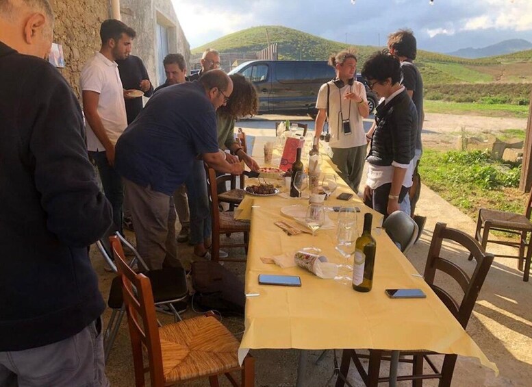 Picture 8 for Activity Visit and tasting of typical products on a farm in Segesta