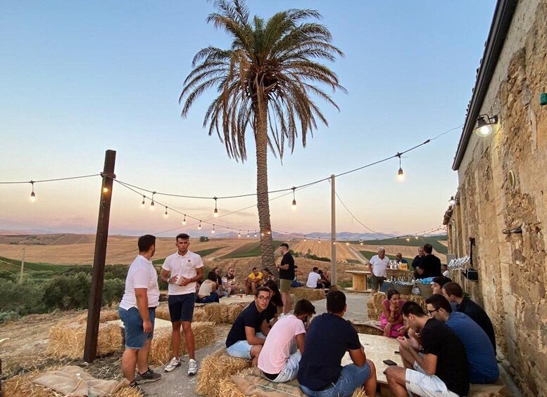 Visit and tasting of typical products on a farm in Segesta