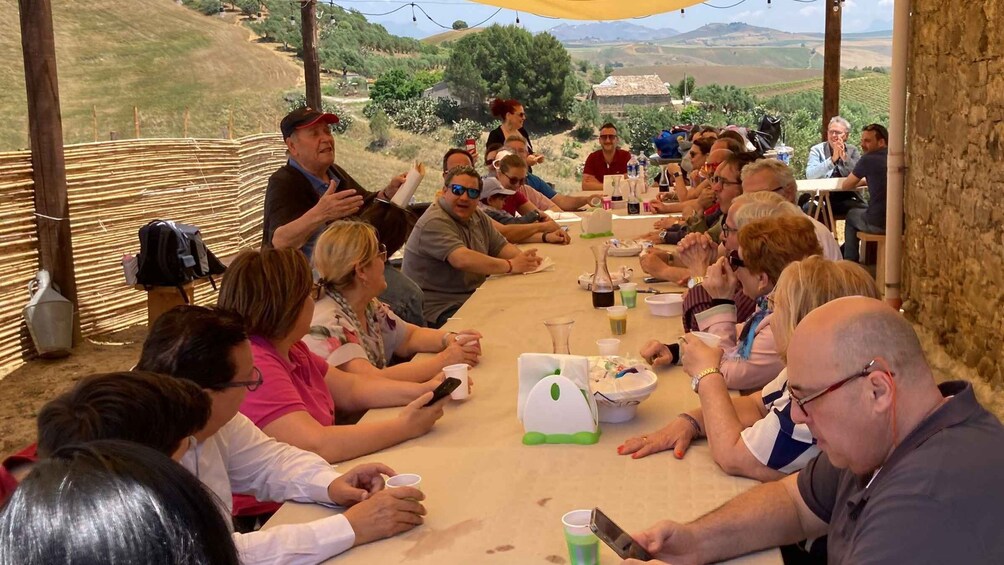 Picture 6 for Activity Visit and tasting of typical products on a farm in Segesta