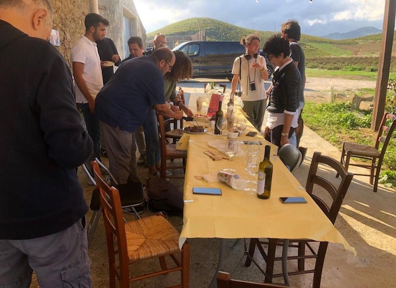 Picture 8 for Activity Visit and tasting of typical products on a farm in Segesta