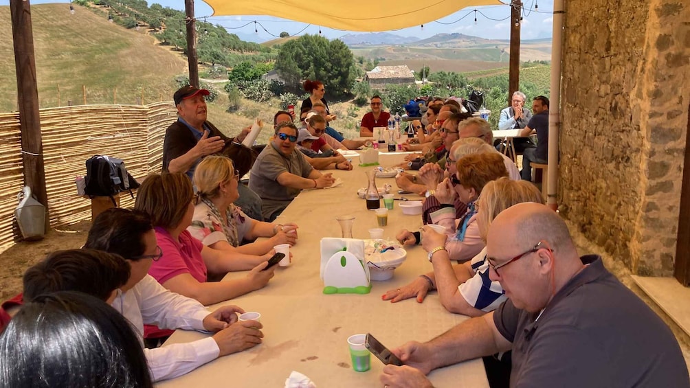 Picture 6 for Activity Visit and tasting of typical products on a farm in Segesta