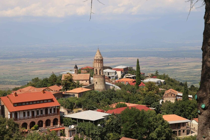 Picture 5 for Activity Kakheti & Sighnaghi Private Guided Day Trip with Wine