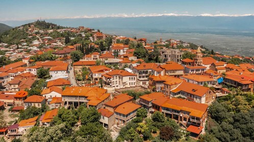 Kakheti & Sighnaghi Private Guided Day Trip with Wine