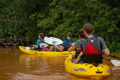 Uvita: Kayak & Snorkel Private Tour - Marino Ballena N. Park