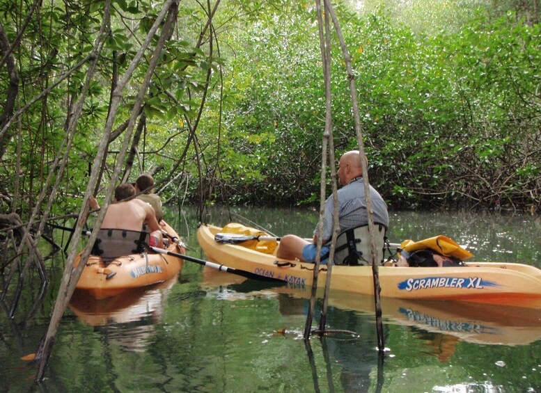 Picture 5 for Activity Uvita: Marino Ballena National Park Sea Kayak & Snorkel